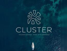 العميل Cluster A Real Estate