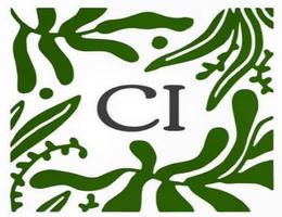 العميل Circles Investment