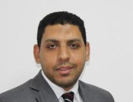 Agent Ayman Saleh