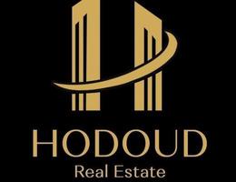 Agent Nadia Mostafa