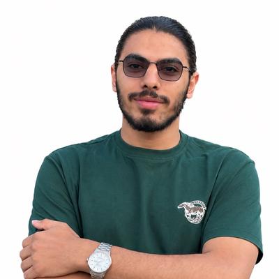 Agent Mohamed Shehata