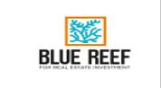 Blue Reef Real Estate logo image