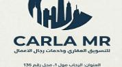Carla Zain Real Estate logo image Carla Zain Real Estate logo image