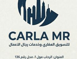 Carla Zain Real Estate