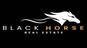 Black Horse Investments logo image Black Horse Investments logo image