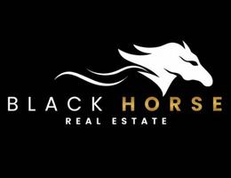 Black Horse Investments