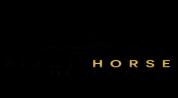 Black Horse Investments logo image