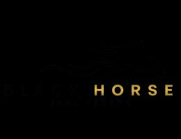 Black Horse Investments