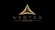 Vertex Group logo image