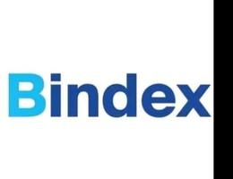 Bendix logo image