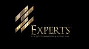 Experts Home logo image