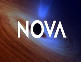 Novaa Real Estate