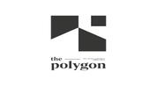 The Polygon logo image