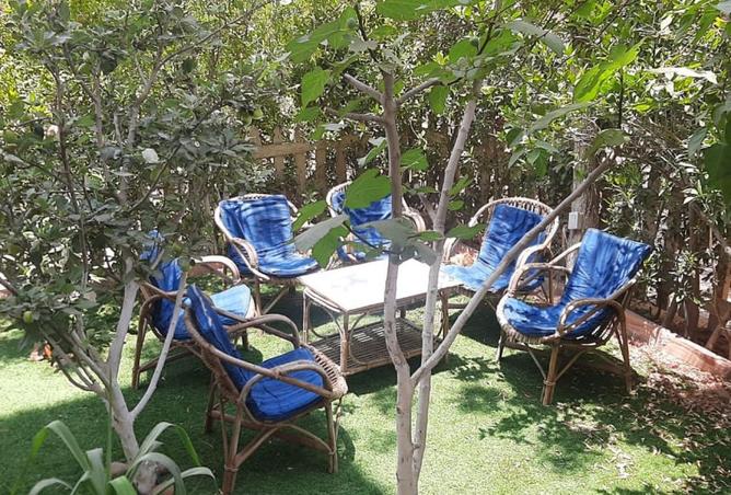 54496553 - Property Image 2