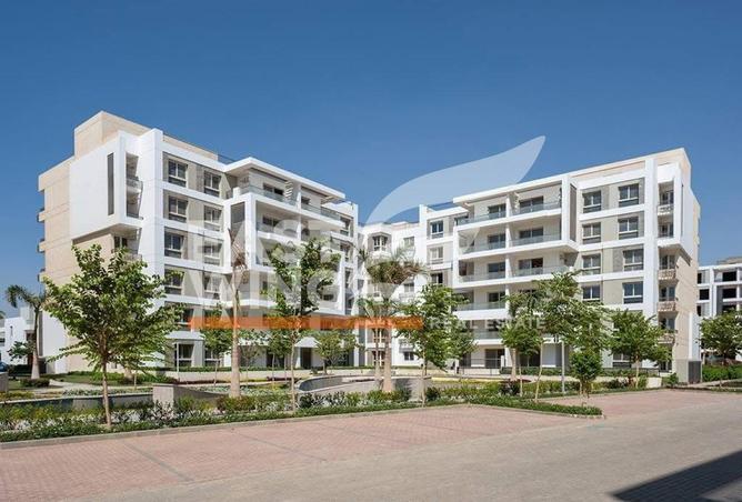 67478035 - Property Image 3