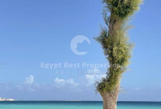91010744 - صورة العقار 2