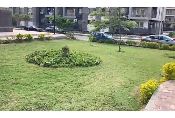 74597738 - صورة العقار 2