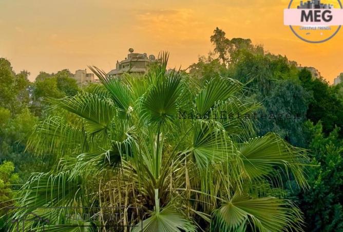 56752065 - صورة العقار 3