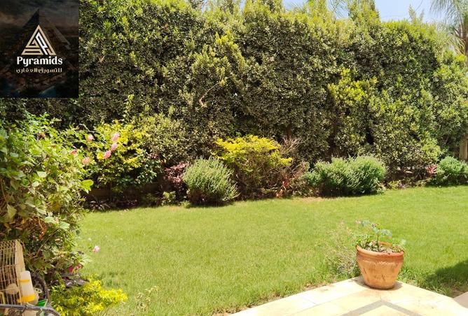 56493373 - Property Image 2