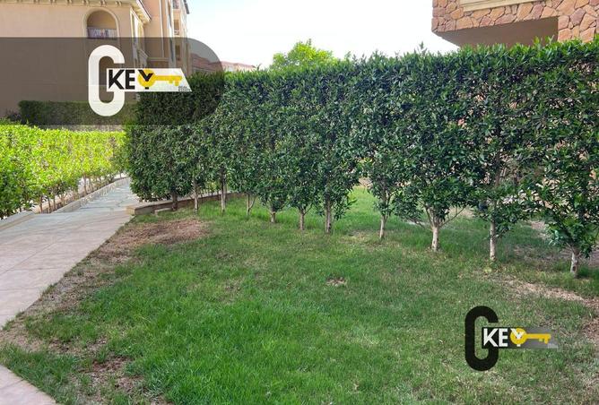 72454853 - صورة العقار 3