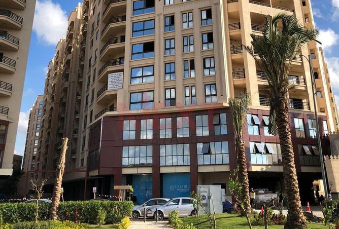 81303675 - صورة العقار 3
