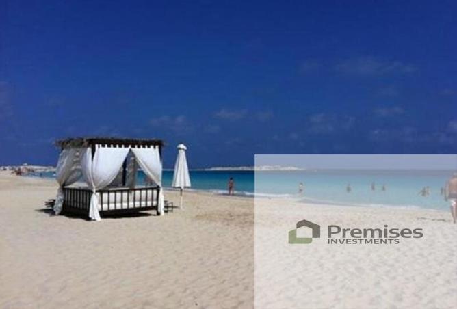 55995762 - Property Image 3