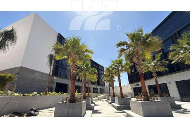 63381460 - Property Image 3