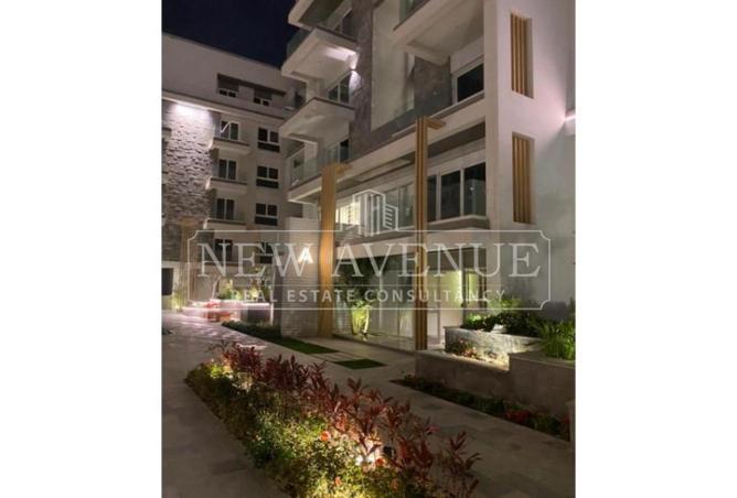 98013449 - Property Image 3