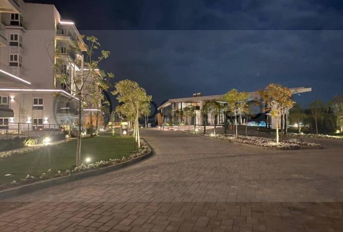 59236880 - Property Image 2