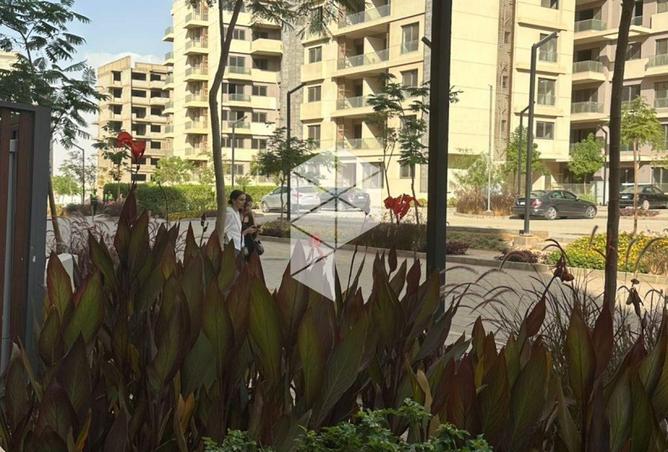 61924603 - صورة العقار 3