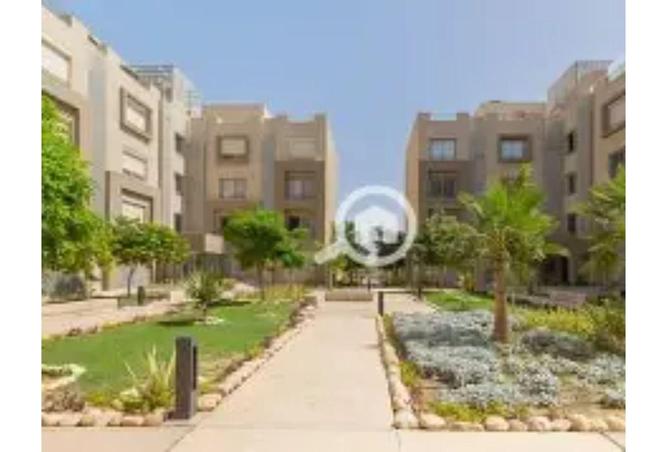 53982853 - Property Image 3