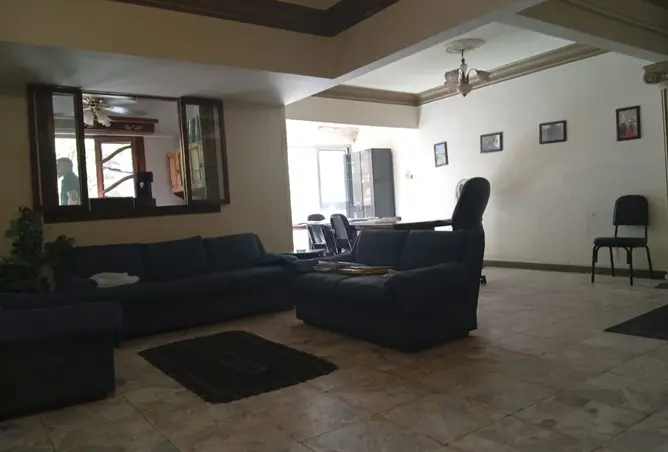 117785186 - صورة العقار 3
