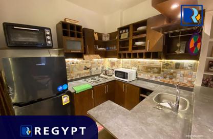 Apartment - Studio - 1 Bathroom for rent in Al Mansour Mohamed St. - Zamalek - Cairo