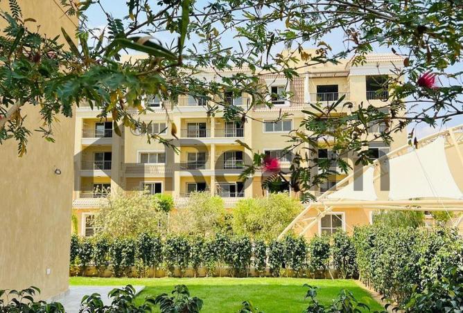 8438003 - Property Image 3