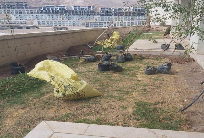 5485874 - الصورة الرئيسية للعقار