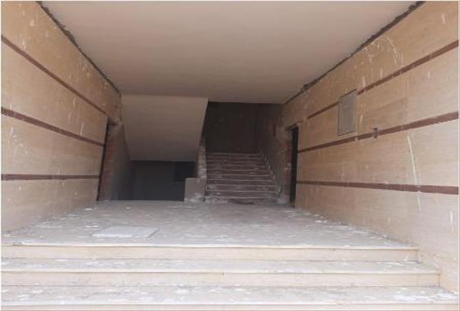 5430572 - Property Image 3