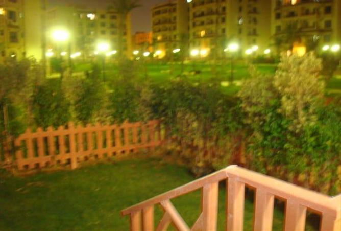 4197339 - Property Image 3