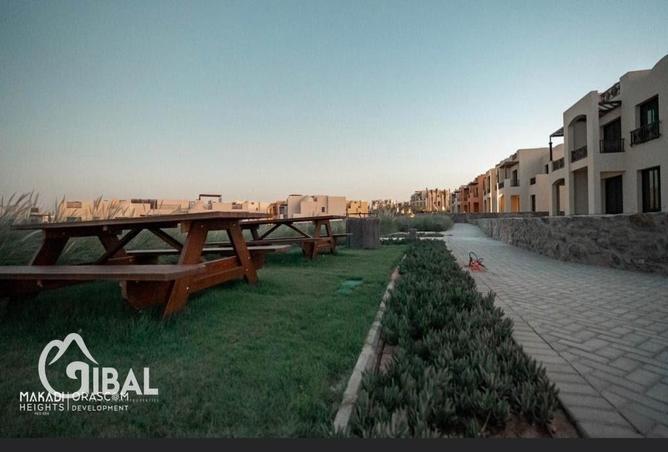 99396247 - صورة العقار 3