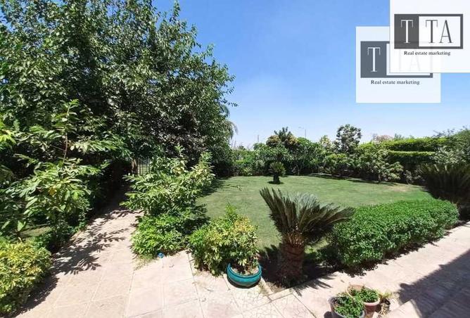 6129935 - صورة العقار 2