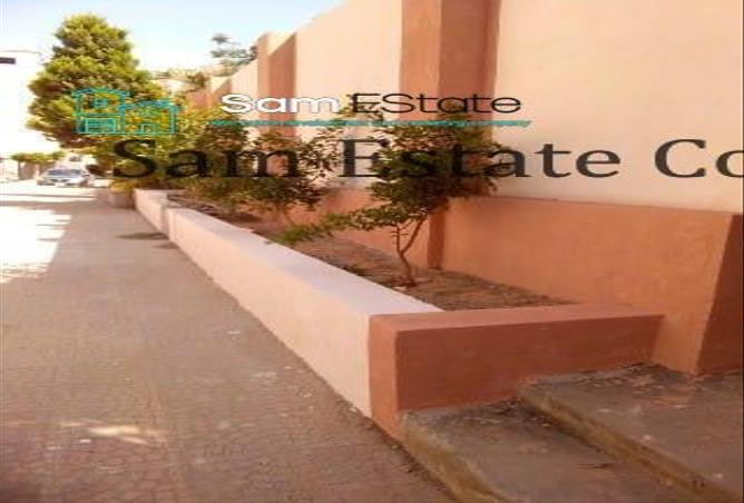 6913677 - صورة العقار 3