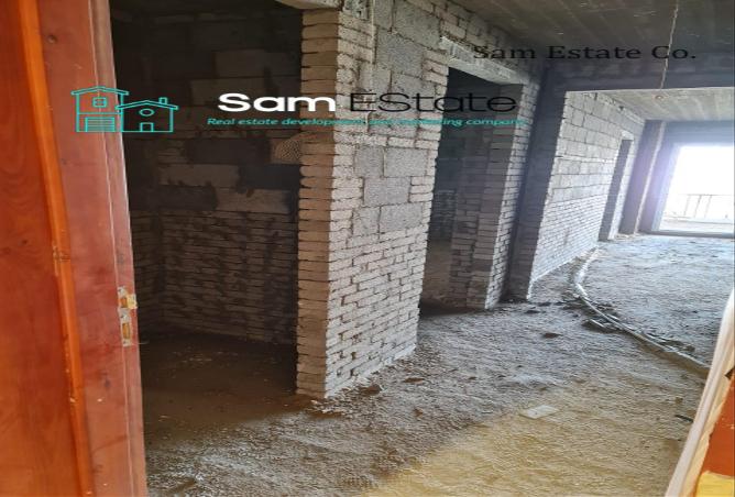 6913666 - صورة العقار 3