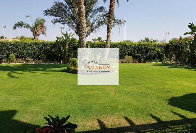 5011821 - صورة العقار 2