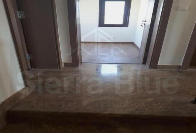 7247091 - صورة العقار 2