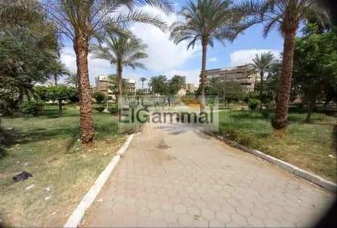73489138 - Property Image 3