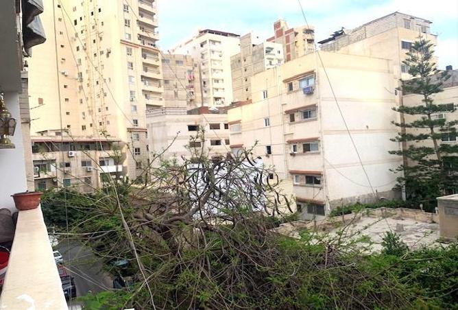 5199012 - صورة العقار 3