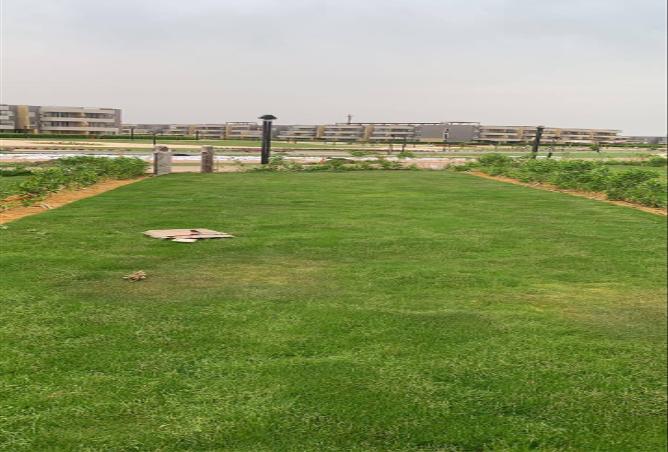 72436317 - صورة العقار 2