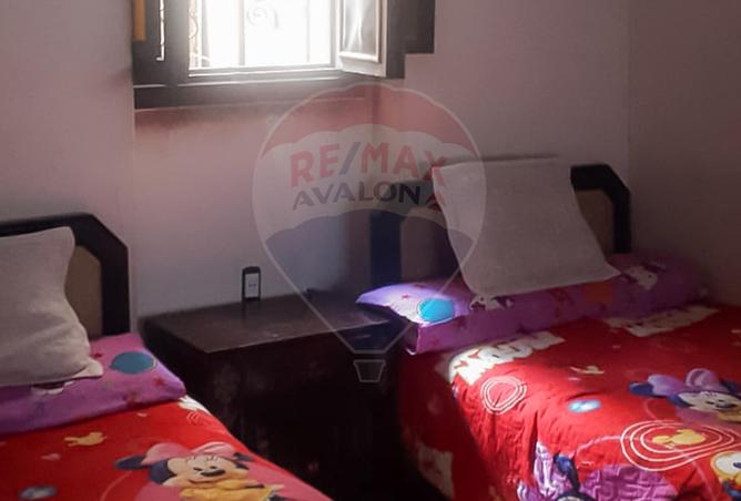 5007328 - Property Image 3