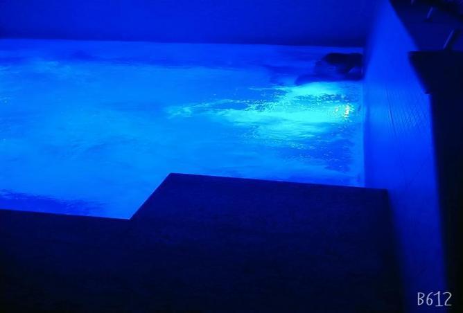 6558693 - صورة العقار 3