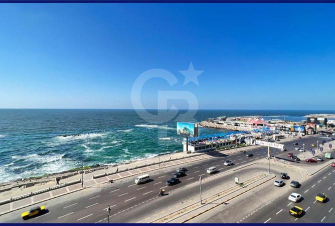87206871 - صورة العقار 3