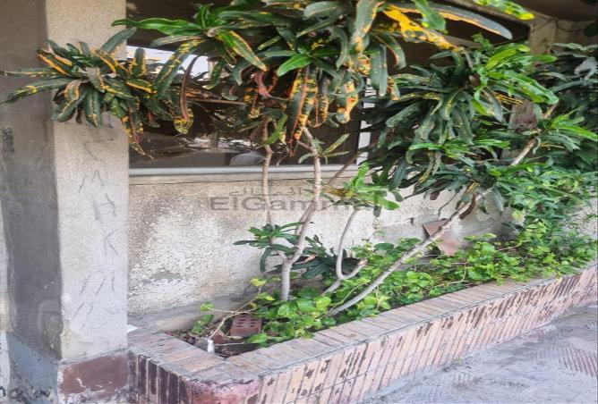 5235014 - صورة العقار 3